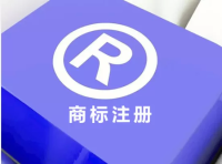 独立站商标注册全流程及费用注意事项详解指南
