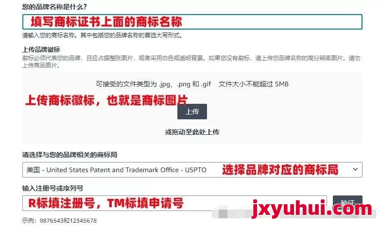 亚马逊2025年最新品牌商标备案流程（详细教学篇） 第9张