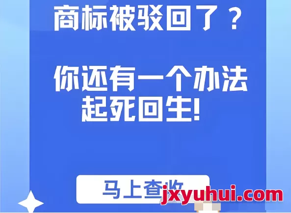 商标申请被驳回怎么办，常见的商标驳回原因有哪些，怎么样避免商标申请被驳回?商标驳回复审材料如何准备？ 第3张