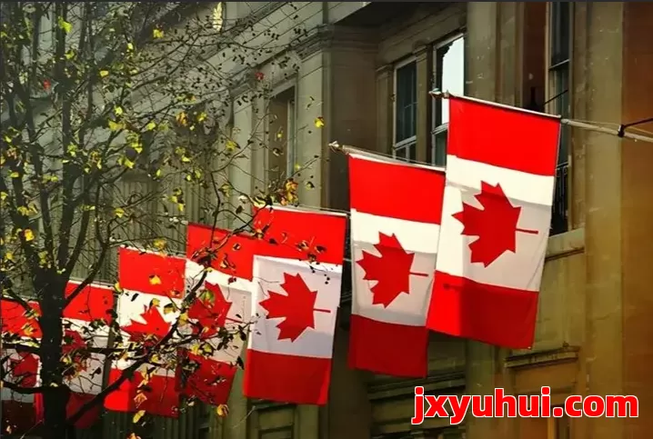 新手必看：教你快速辨别靠谱的公司注册代理机构 第1张