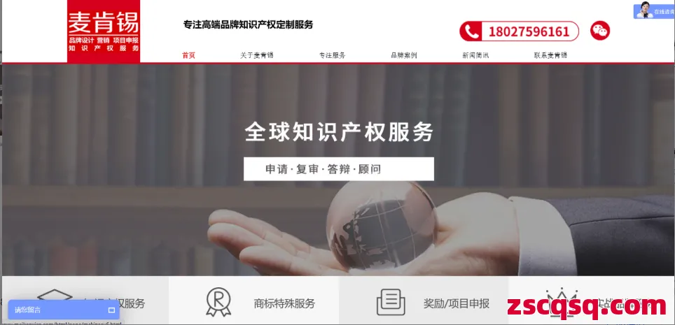 麦肯锡知识产权 第1张