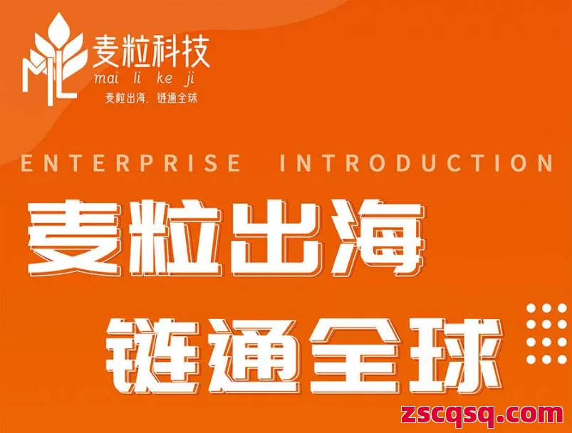 麦粒科技 第1张