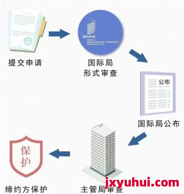 收藏！海牙体系国际外观专利申请流程 第1张