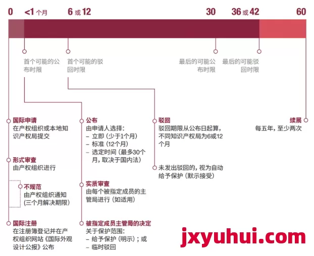 收藏！海牙体系国际外观专利申请流程 第2张