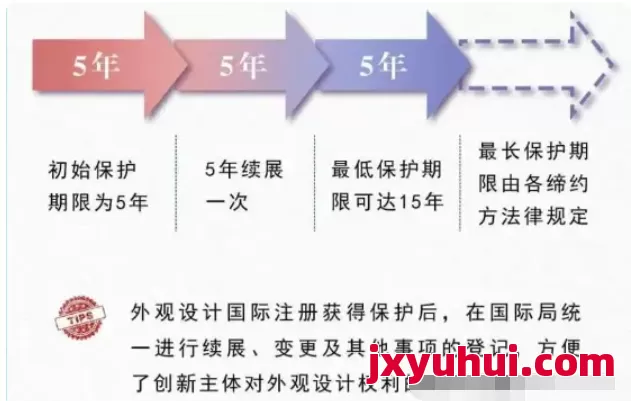 收藏！海牙体系国际外观专利申请流程 第3张