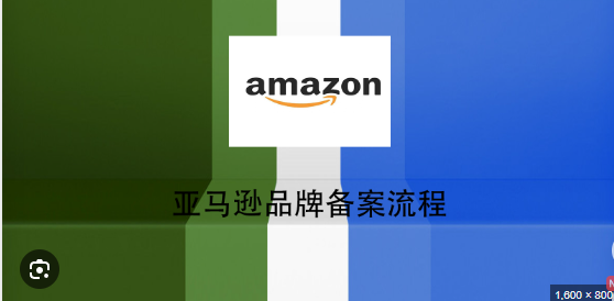 新手卖家惊呼！亚马逊品牌备案这10点不懂亏大了！ 第1张